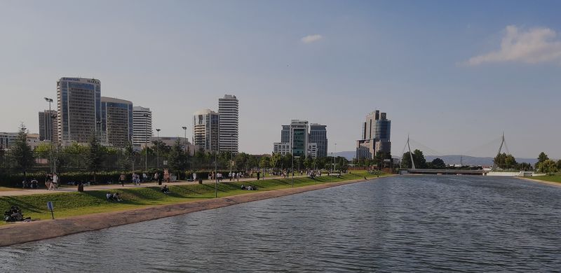 nilufer web yazılım